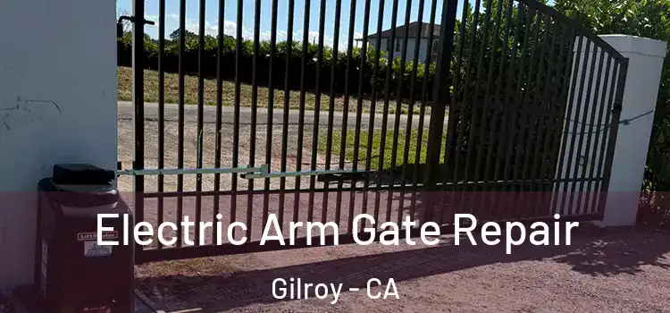Electric Arm Gate Repair Gilroy - CA