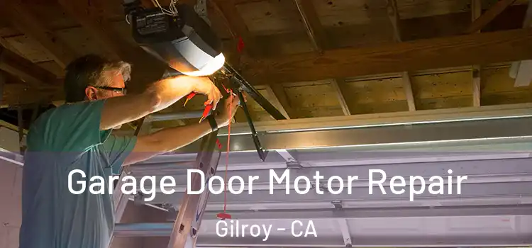  Garage Door Motor Repair Gilroy - CA