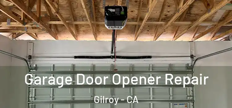  Garage Door Opener Repair Gilroy - CA