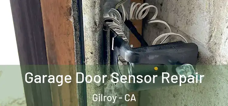 Garage Door Sensor Repair Gilroy - CA