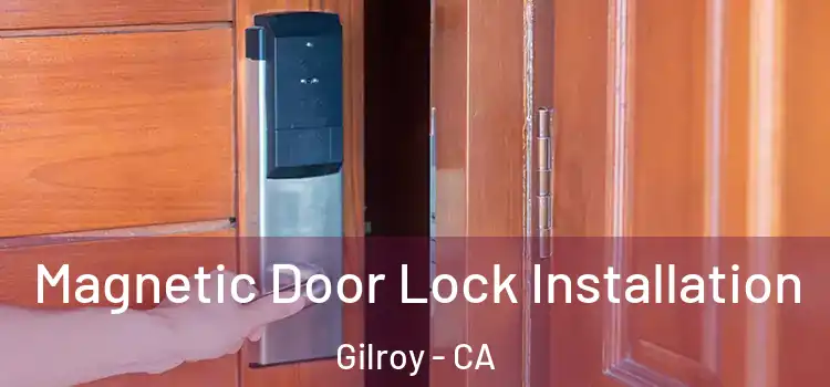  Magnetic Door Lock Installation Gilroy - CA